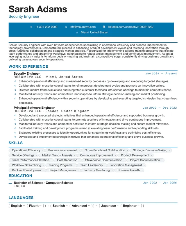 100. Account Manager resume template preview