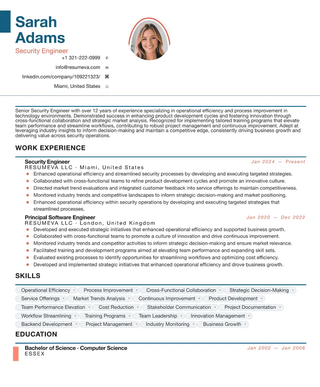 101. Risk Analyst resume template preview
