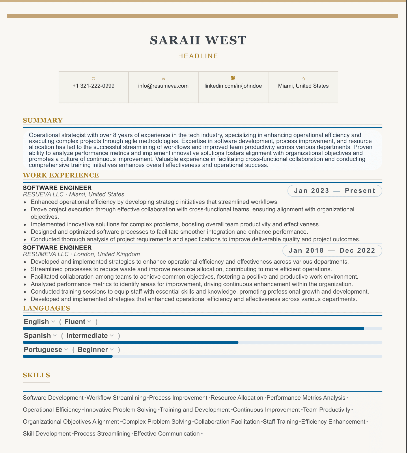 43. Operations Director resume template preview