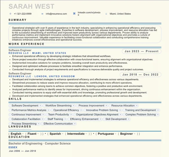 56. Strategy Director resume template preview