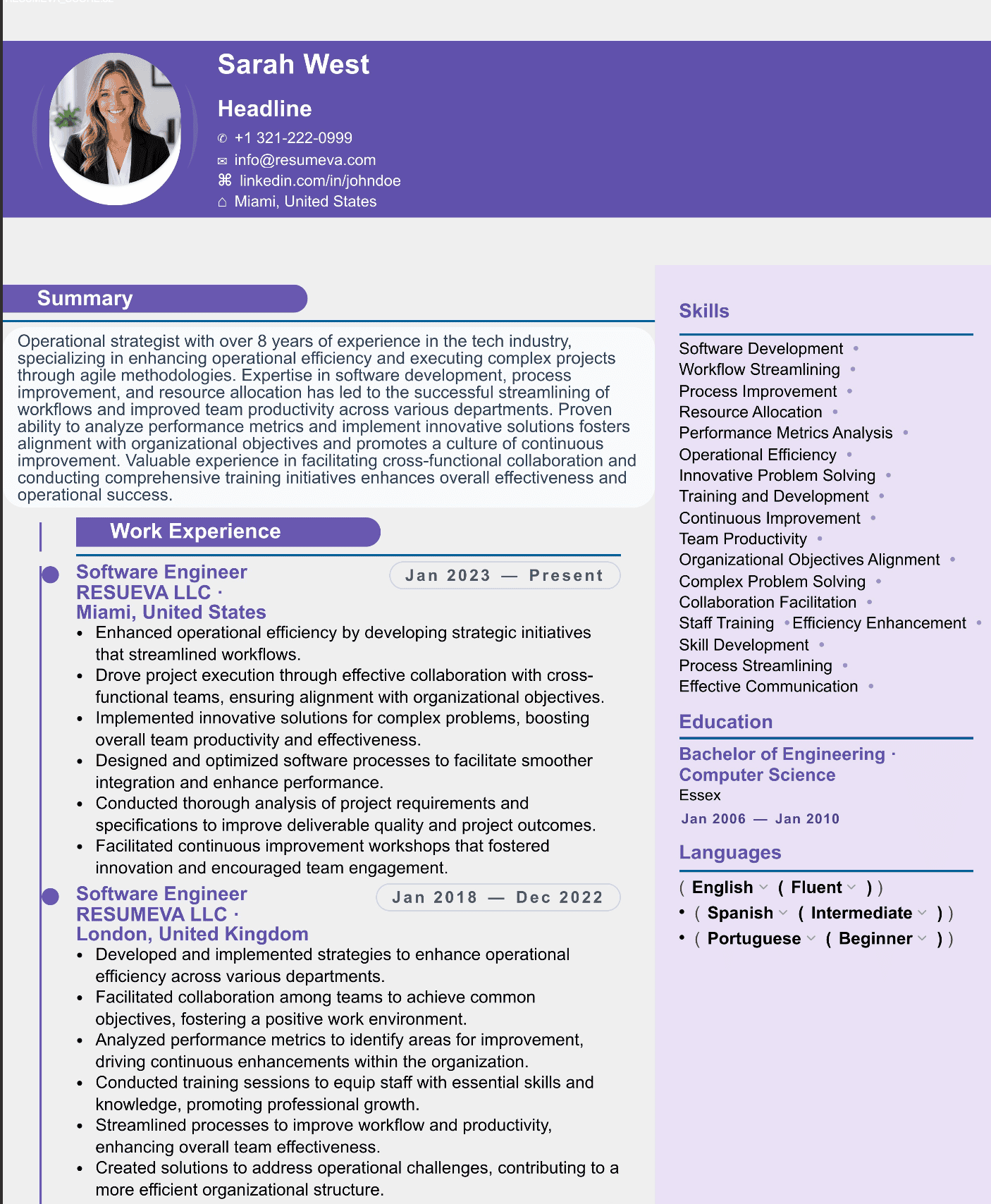 66. Sales Director resume template preview