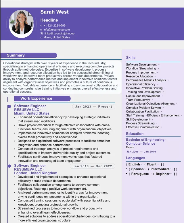 66. Sales Director resume template preview