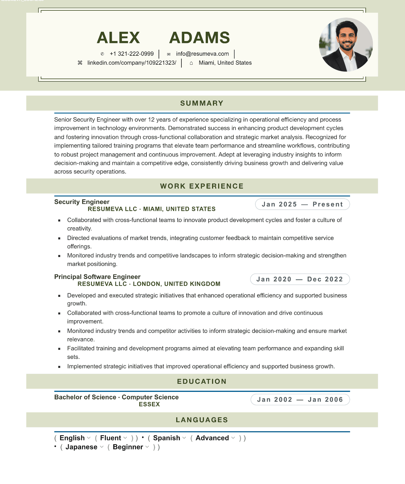 84. Sustainability Manager resume template preview