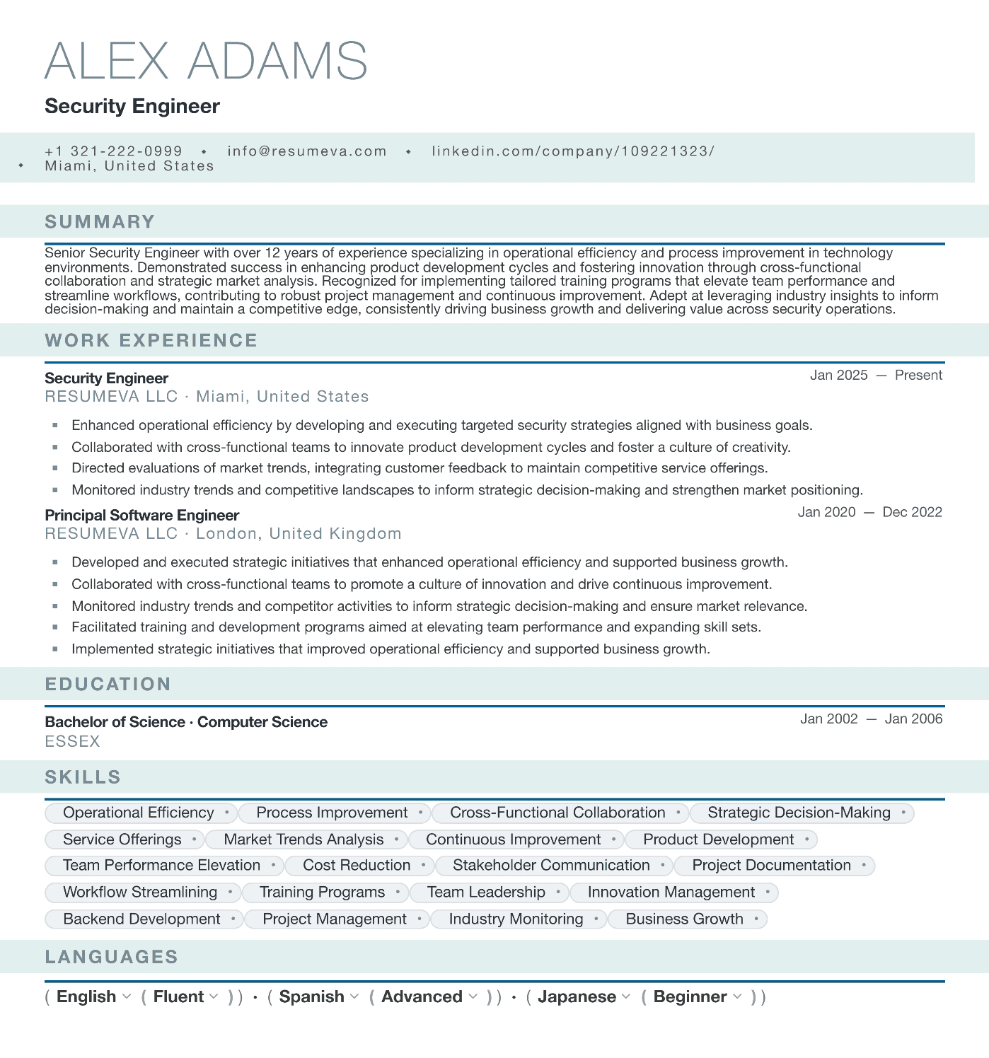 88. Video Editor resume template preview