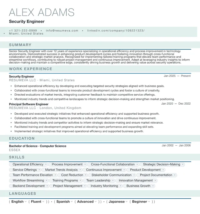 88. Video Editor resume template preview