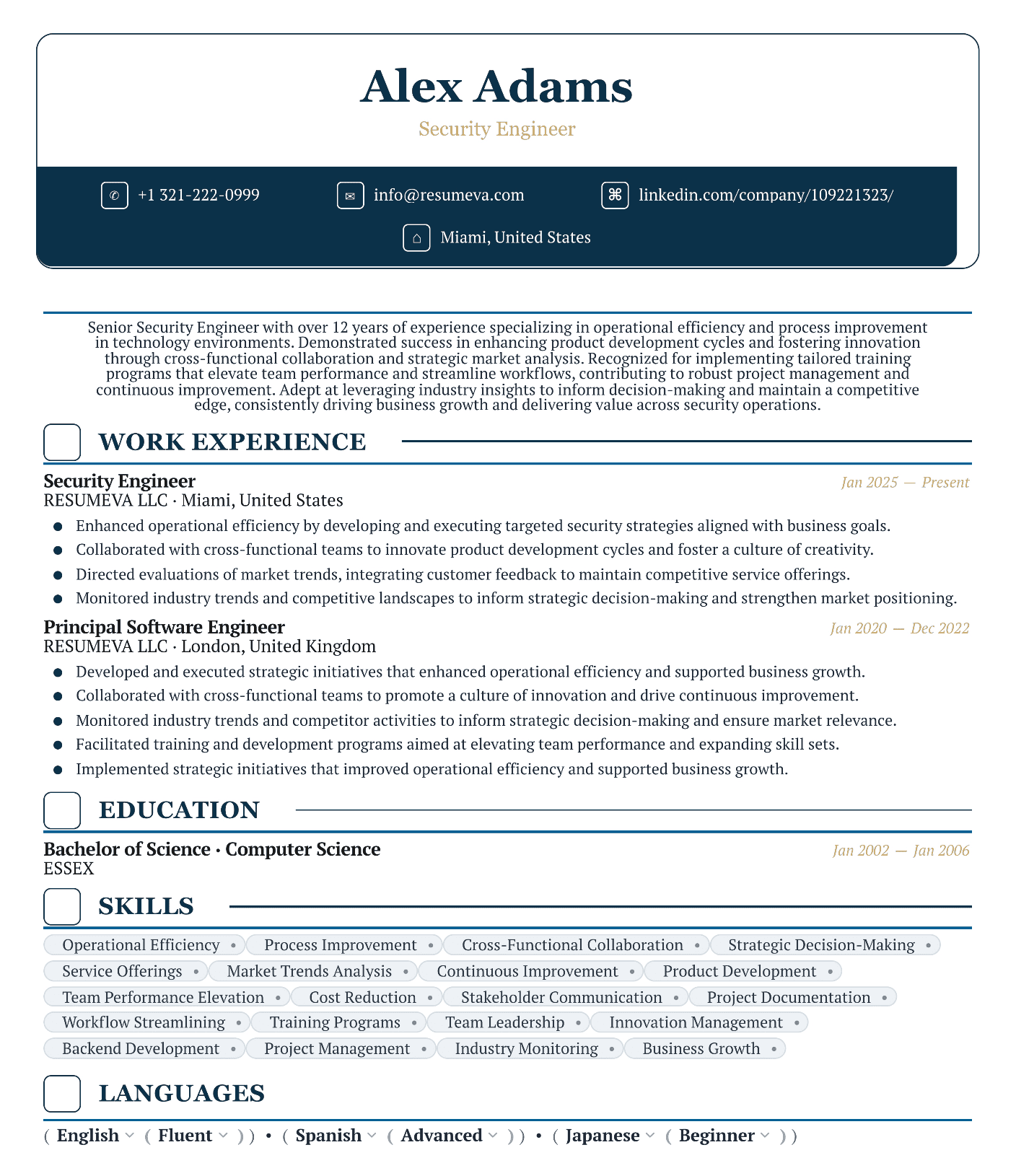 90. Translator resume template preview