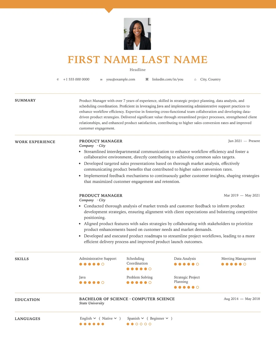 15 Project Manager resume template preview