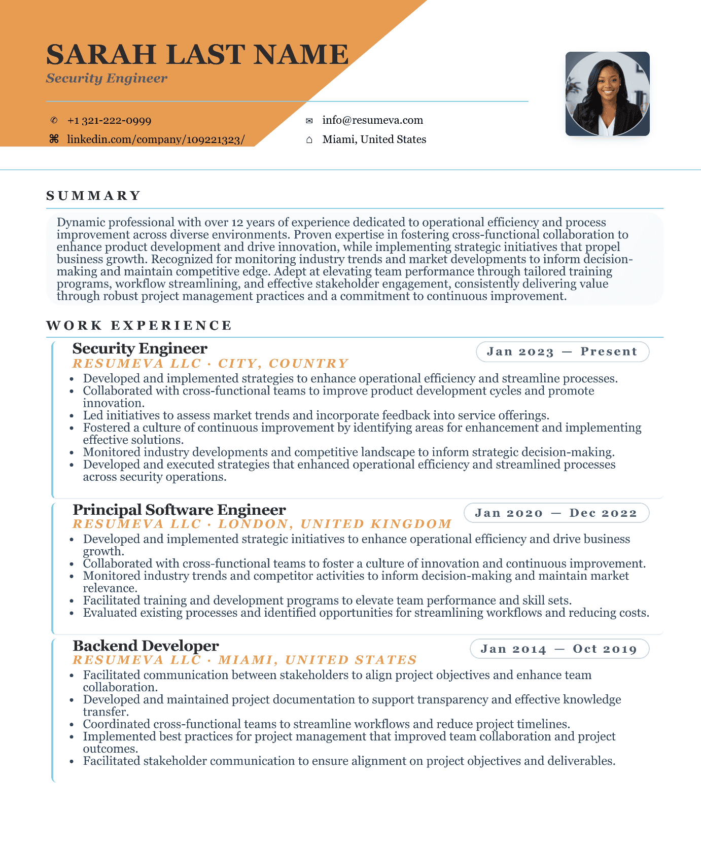 23. Sales Manager resume template preview