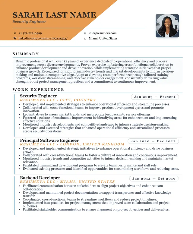 23. Sales Manager resume template preview